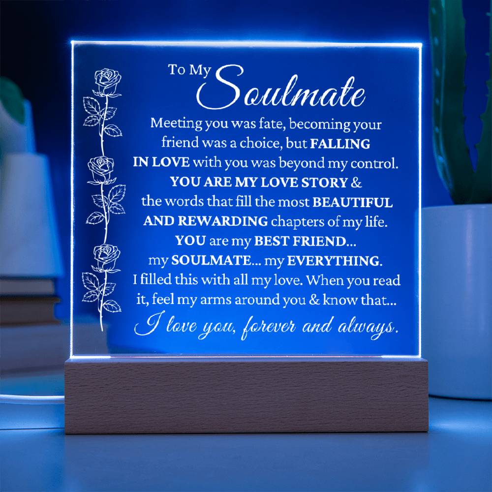 You Are My Everything Soulmate LED Plaque