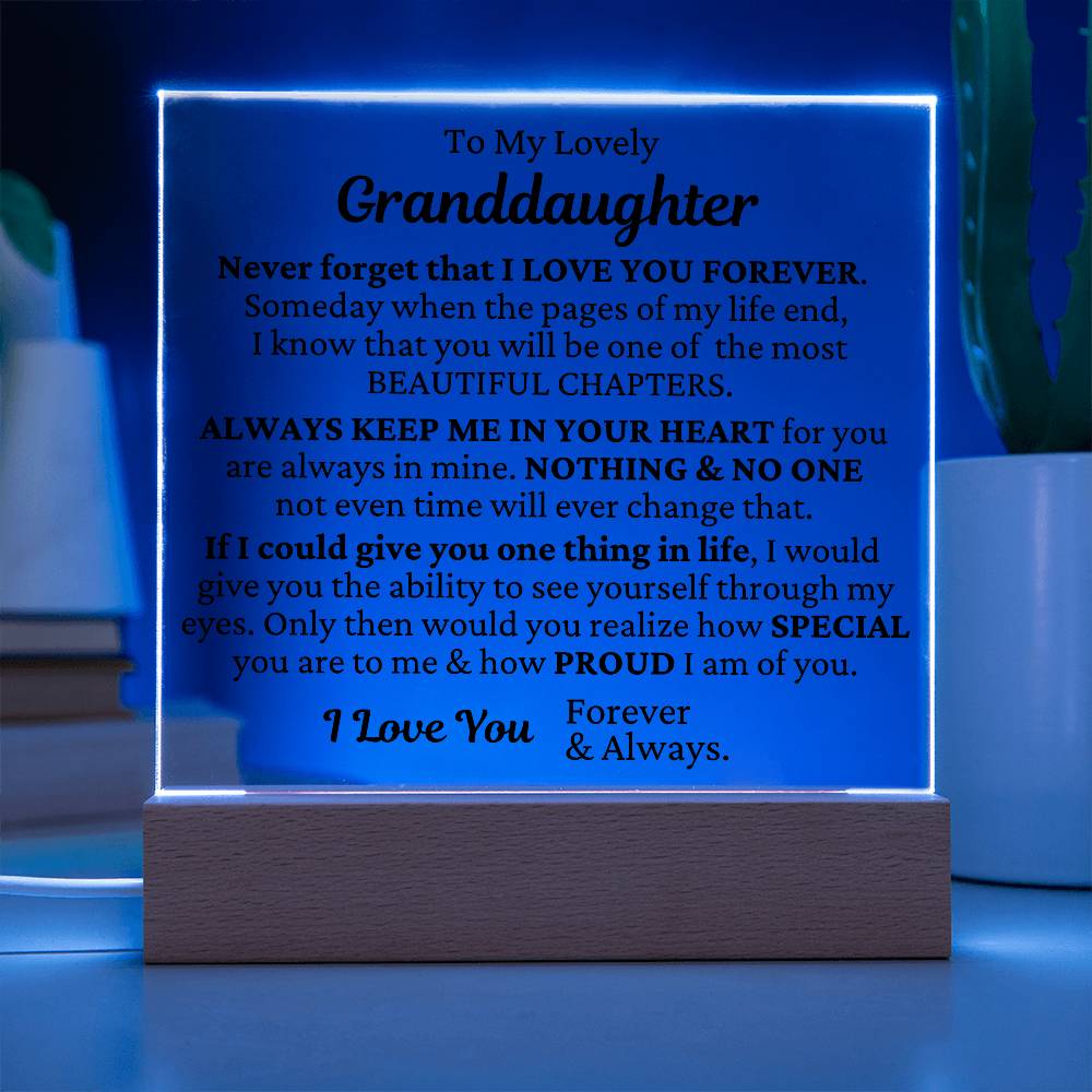 To My Granddaughter - I Love You LED Plaque