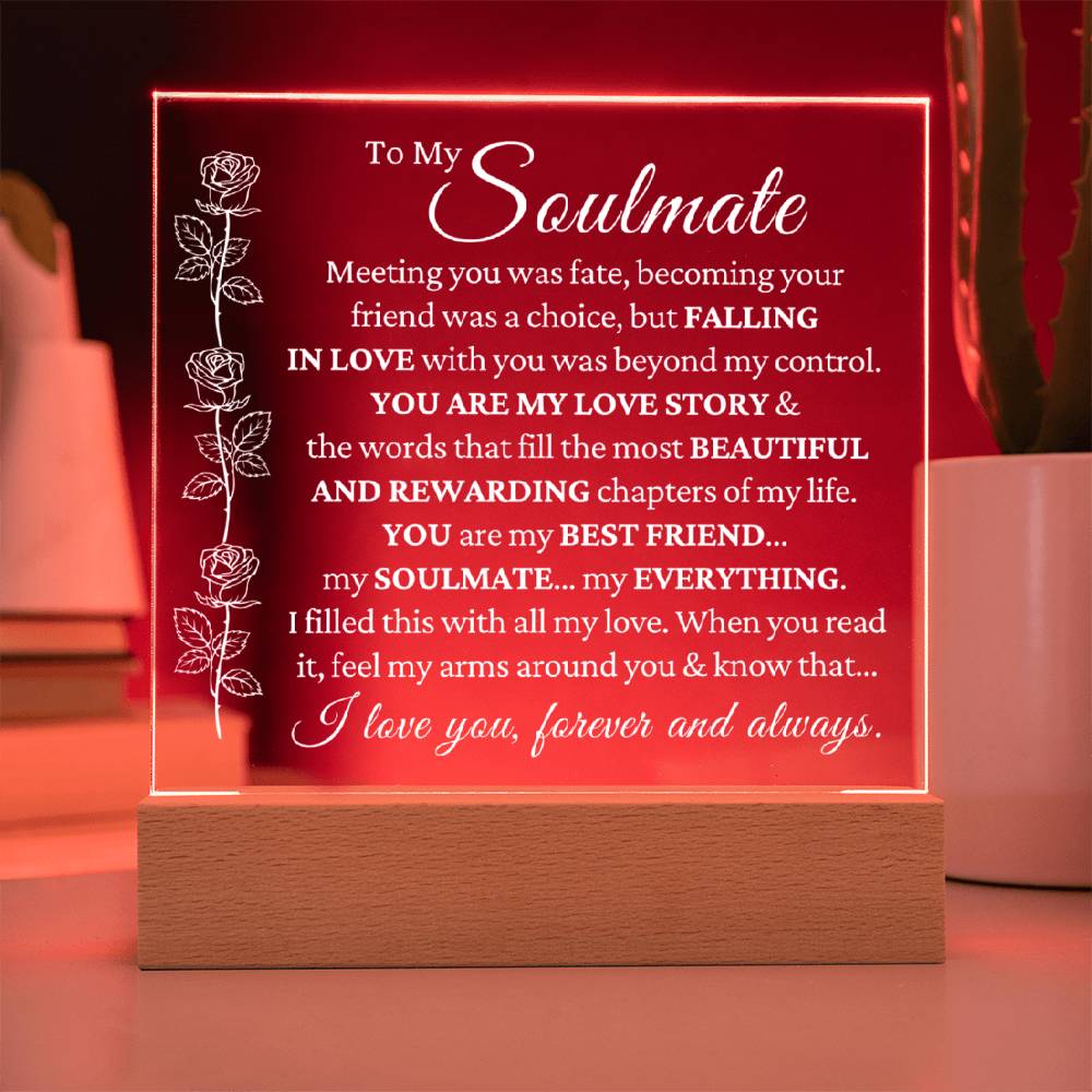 You Are My Everything Soulmate LED Plaque