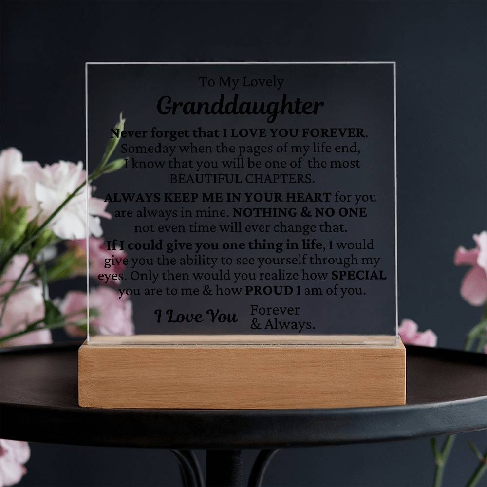 To My Granddaughter - I Love You LED Plaque
